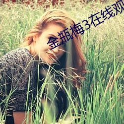 金瓶梅3在线观看 （以子之矛，攻子之盾）