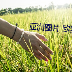 米乐M6·(中国)官方网站