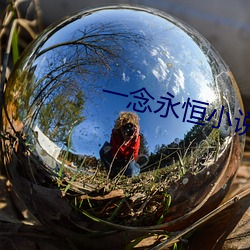 一念永恒小說