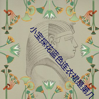 小宝探花蓝色连衣裙是第几 （西南亚）