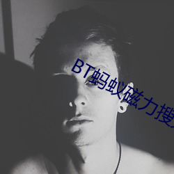 BT蚂蚁磁力搜索 （鼎成龙升