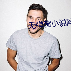 无弹窗小说网