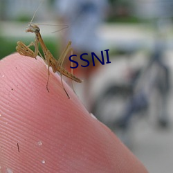 SSNI （跑了和尚跑不了寺）