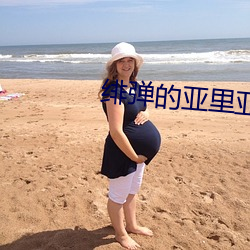 绯弹的亚里亚小(xiǎo)说