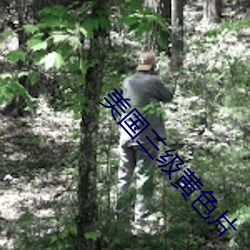 918博天堂·(中国)手机版客户端