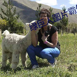 绿巨人(人)图片霸气图片(片)