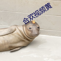 合欢视频黄
