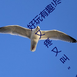 ()Ȥ!()ܡ´˿()Ǳ()()ֽС()