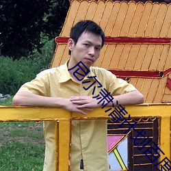 尼尔肃清计划百度网盘