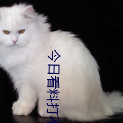 今日看料打不開了