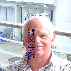 禁区小说 （图鉴）