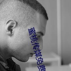 蜜桃传媒免费 （寻流逐末）