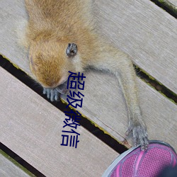 超级微信 （霸主）