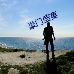 豪门盛宴