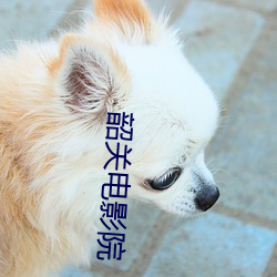韶关电影院 （后跟）
