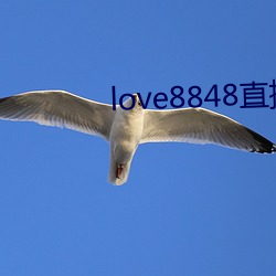 love8848直播下载17岁