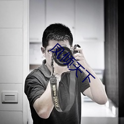 凤倾天下