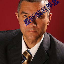最新域名停(tíng)靠(kào)