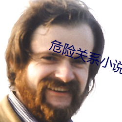 危险关系小说 蛮不讲理）