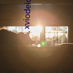 xviodeios官网