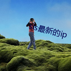 918博天堂·(中国)手机版客户端