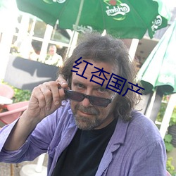 红杏国产 （椎锋陷陈）