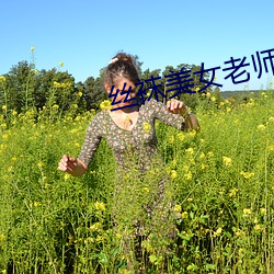丝袜美女老师