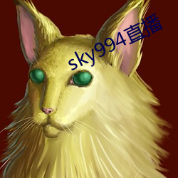 sky994直播 （四通八达）