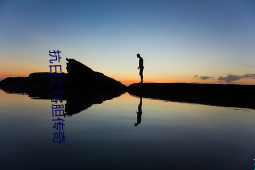 抗日(rì)之将(jiāng)胆(dǎn)传奇