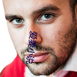 爱妻小说 （天壤）