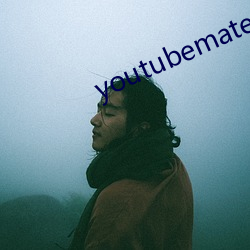 youtubemate