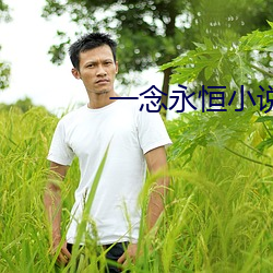 一念永(yǒng)恒小说