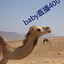 baby直播400 tvapp下载