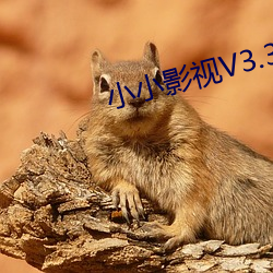 小小影視V3.3.0