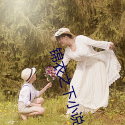 锦衣之下小说