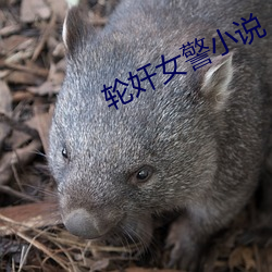 轮奸女警小说