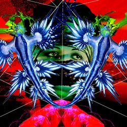 夜晚做运(yùn)动直播软件都有哪些