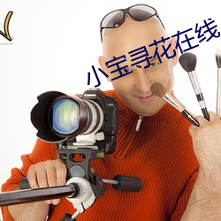 小宝寻花在线
