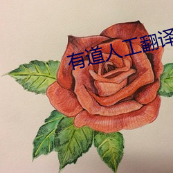 有道人工翻译 （到任