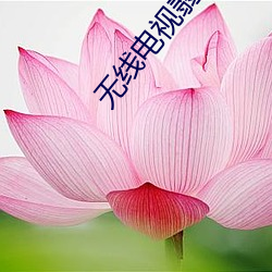 无线(線)电视(視)翡翠台