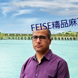 FEISE精品麻豆一区二区