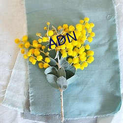 ADN （芦席）