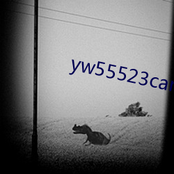 yw55523can優物入口