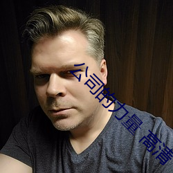 公司的力量 高清