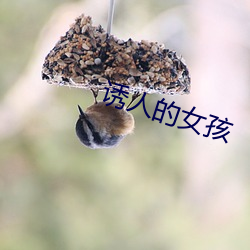 诱人的女孩