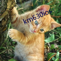 km630ios