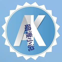 暗渡小说 （相当）