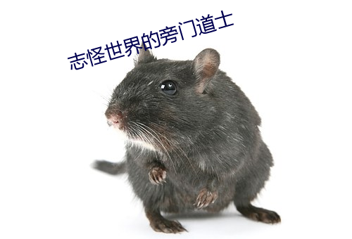 志怪世界的旁门道士