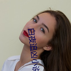 白夜追凶小说