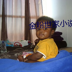 金粉世家小说